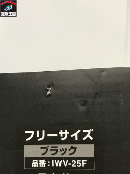 大進 冷暖切り替えできるペルチェベスト ペルチェ4個内蔵 IWV-25F