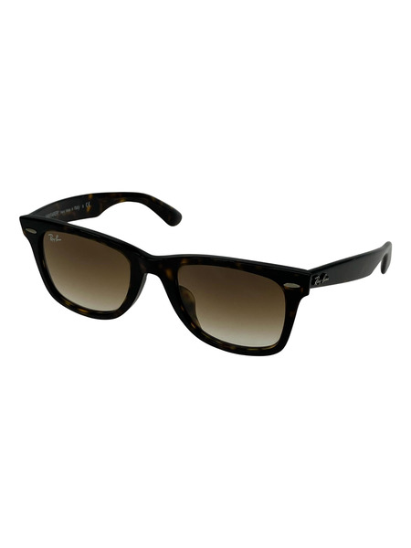 Ray-Ban ソノ他 WAYFARER