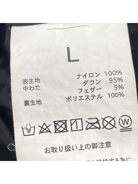 ダウンジャケット CITEN×TAION 黒 (L)