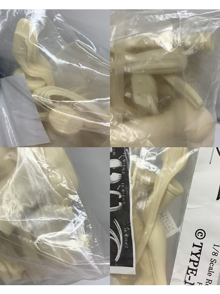 how(s) Fate/stay night 1/8 ライダー レジンキャストキット 未開封 ハウス フェイト ステイナイト レジンキット ガレージキット ガレキ 組立キット