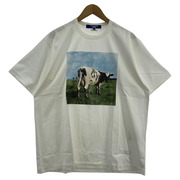 JUNYA WATANABE MAN 24SS 綿度詰天竺 製品プリント Pink Floyd M