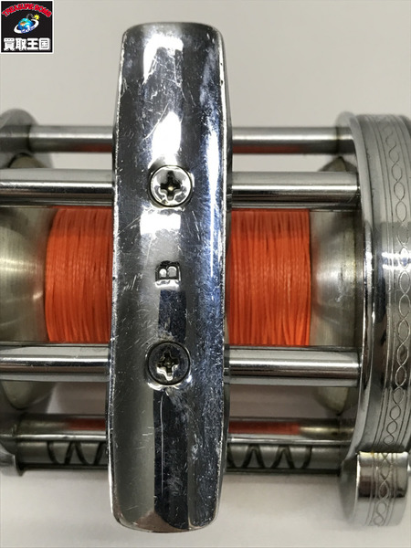 フルーガー　サミット　1995