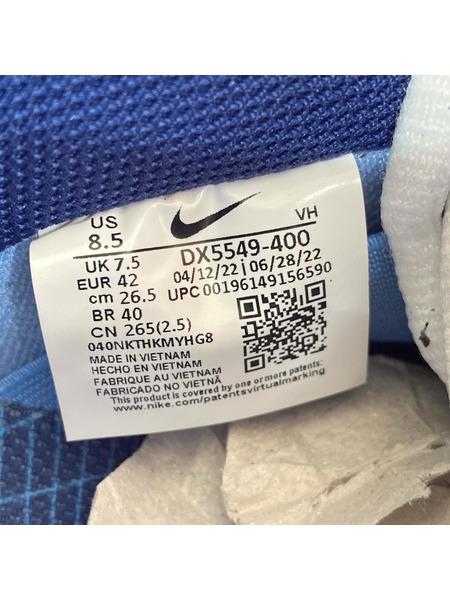 NIKE SB スニーカー ×Why So Sad SB Dunk Low Coastal Blue[値下]