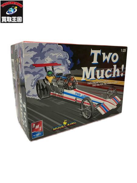 1/25 Two Much!2004年 AMT ERTL TWO MUCH ドラッグスター モデルキングキット 