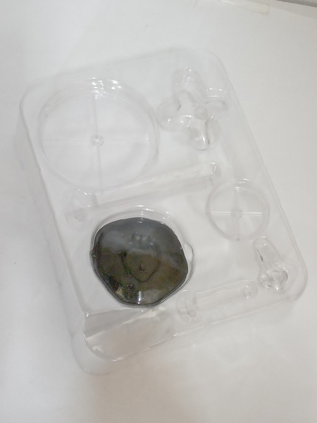 メーカー ゴジラ・その他怪獣 S.H.MonsterArts ヘドラ 50周年特別記念セット  ゴジラ対ヘドラ