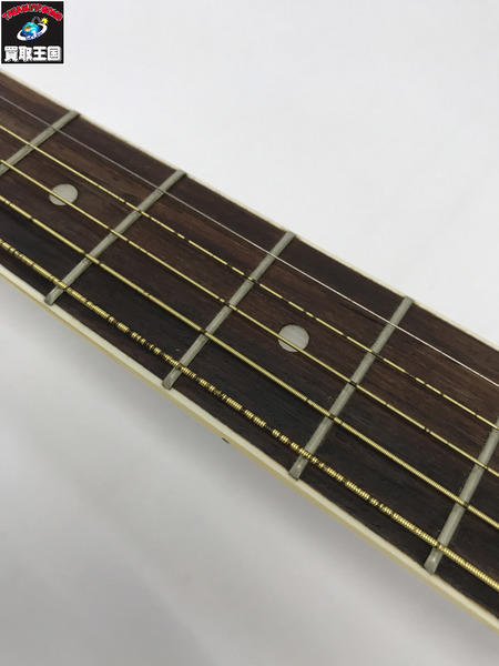 Sepia Crue アコースティックギター