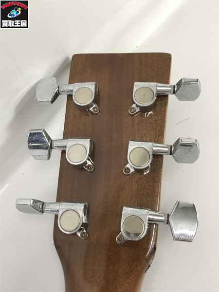 Sepia Crue アコースティックギター