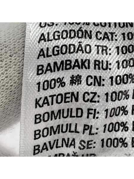 DIESEL 半袖Tシャツ・カットソー T-Diegor-L6 Tee