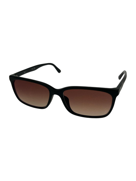 Ray-Ban ソノ他 サングラス 黒