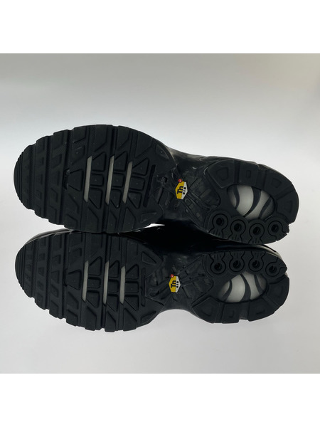 NIKE スニーカー AIR MAX PLUS 27.5cm 黒 604133-050