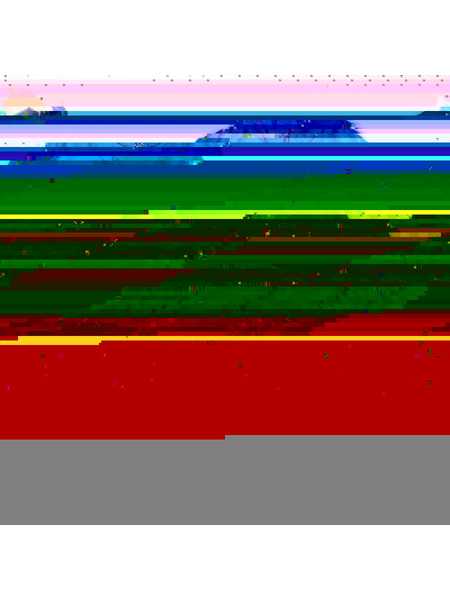 patagonia ジャケット 80s 三角タグ USA製 シェルドシンチラジャケット M