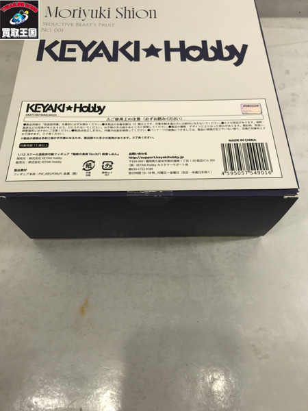 魅獣の果実 No.001 森雪しおん 1/12