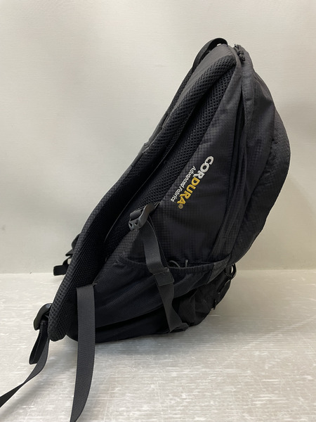 Supreme 22ss Reign 23 ロゴバックパック