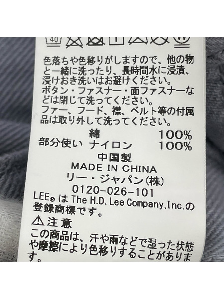 Lee オーバーオール・ツナギ PIPES スケートライン グレー