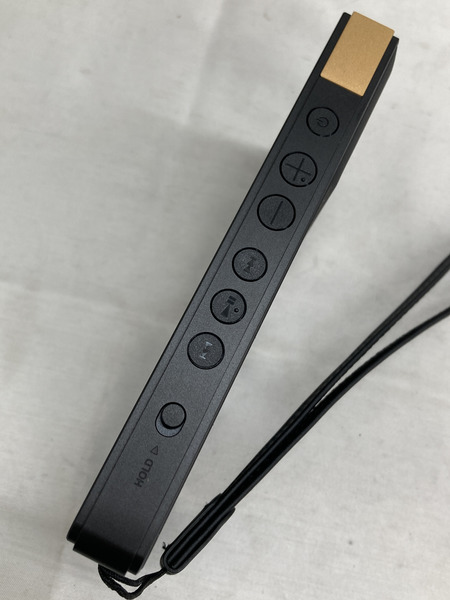 SONY ウォークマン ZXシリーズ NW-ZX707