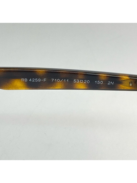 Ray-Ban ソノ他 RB 4259-F