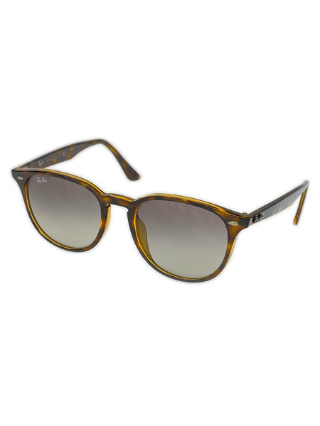 Ray-Ban ソノ他 RB 4259-F