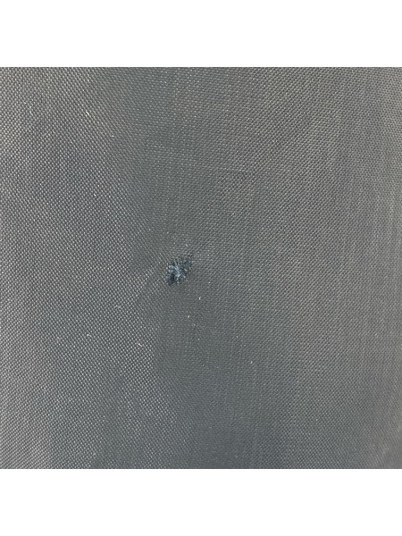 Champion ジャケット ランタグ ボアコーチジャケット