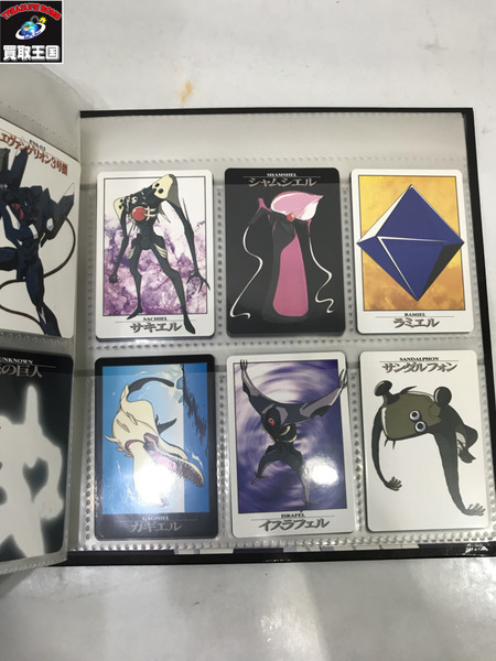 新世紀エヴァンゲリオン カードダス ファイル付き