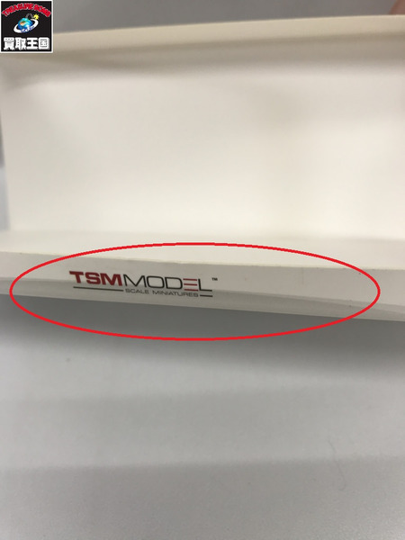 1/43スケールカー TSM MODEL ジャガー F-タイプ