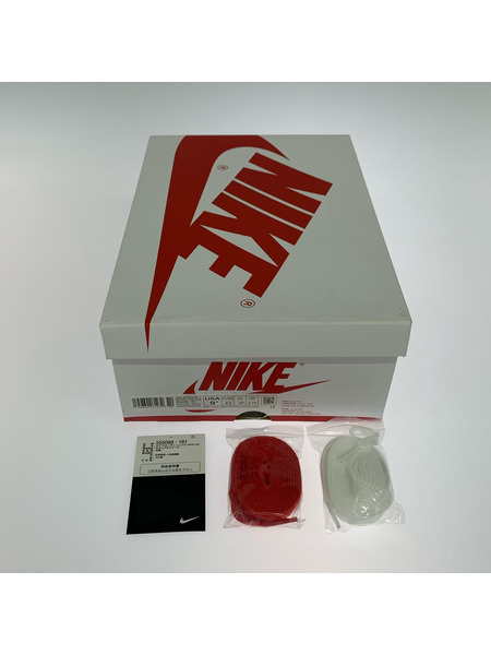 NIKE スニーカー 27.5cm CJ7891-401