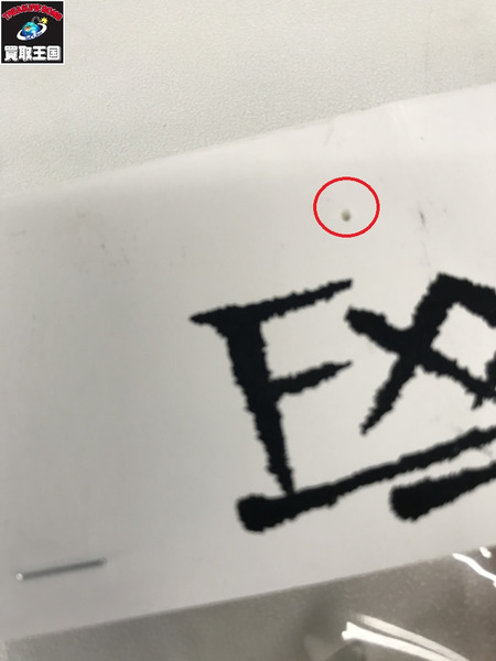 FXXX　ガリテトラ　