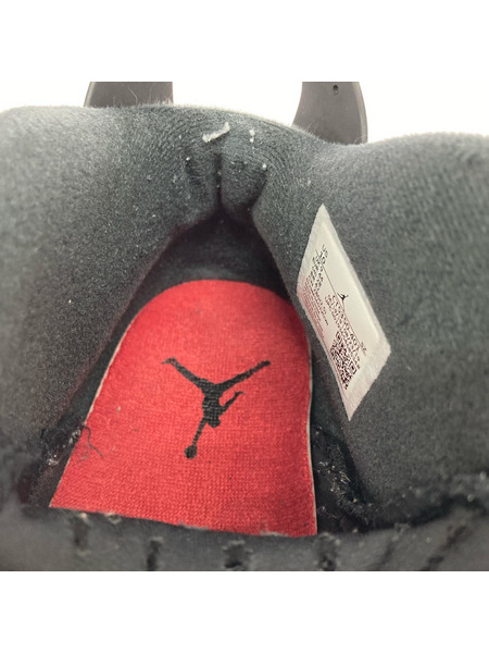 NIKE スニーカー Jordan 6 Washed Denim 28cm IND