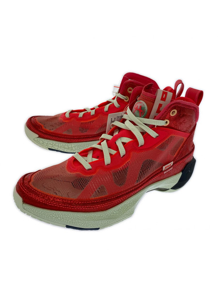 NIKE スニーカー AIR JORDAN XXXⅦ RUI 27.5cm