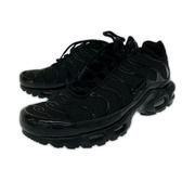 NIKE スニーカー AIR MAX PLUS 黒 (26.0cm)
