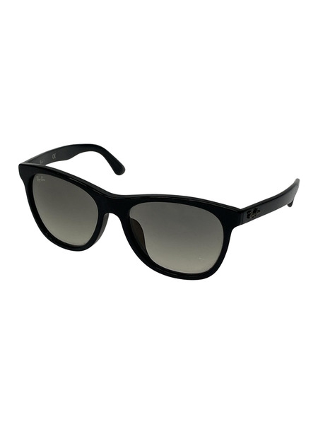 Ray-Ban ソノ他 RB4184-F