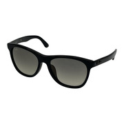 Ray-Ban ソノ他 RB4184-F