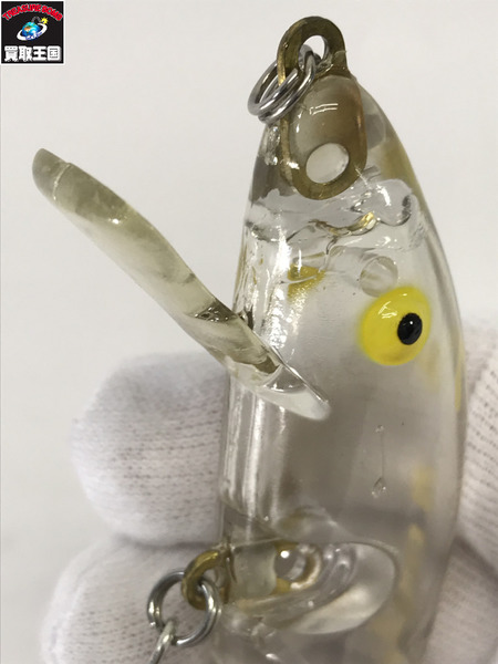 エヴィスヤテイラー　ビッグタイガー