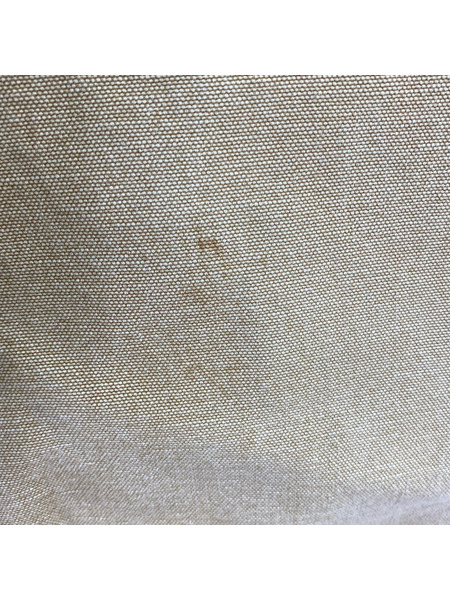 Carhartt パンツ Painter pants