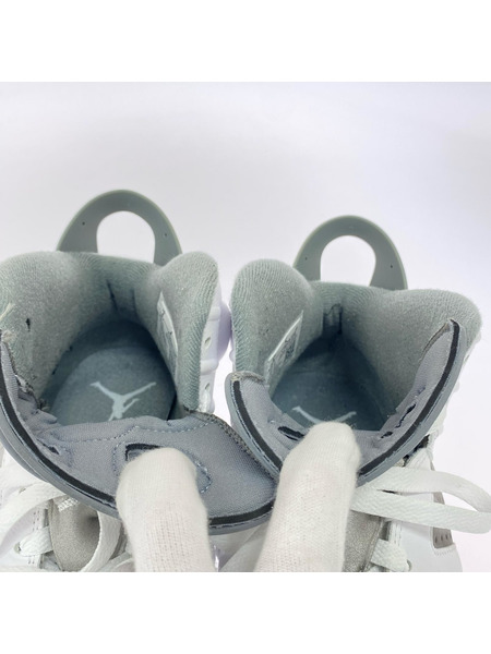 NIKE スニーカー AIR JORDAN 6 Cool Grey (26.0)
