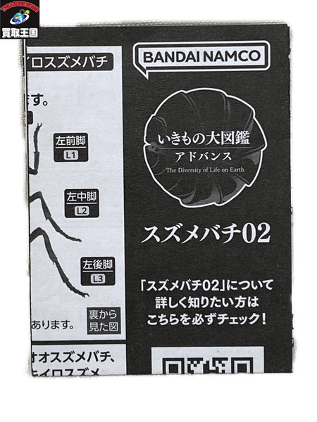 いきもの大図鑑 スズメバチ02 3種セット　個袋未開封