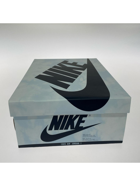 NIKE スニーカー Air Jordan 1 Retro High OG Denim