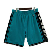 STUSSY ショートパンツ メッシュショーツ (L) 青