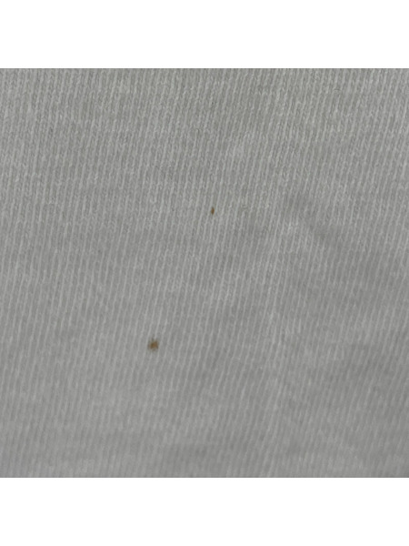 SAINT MICHAEL 半袖Tシャツ・カットソー 24SS EV SS TEE / SHINJI 白 (L)