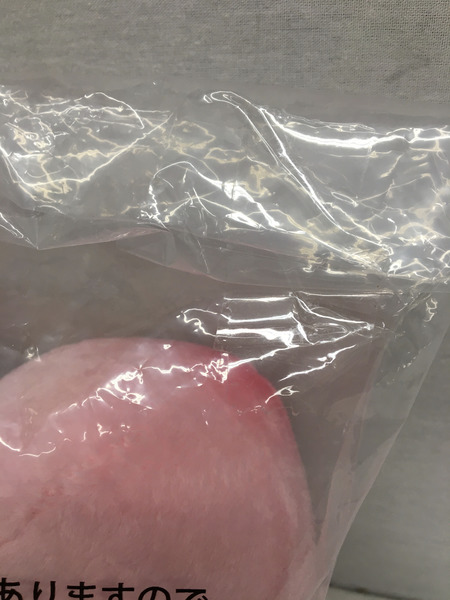 ファンシーその他 一番くじ こびとづかん A賞 カクレモモジリ