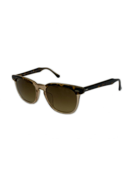 Ray-Ban ソノ他 RB2298F HAWKEYE
