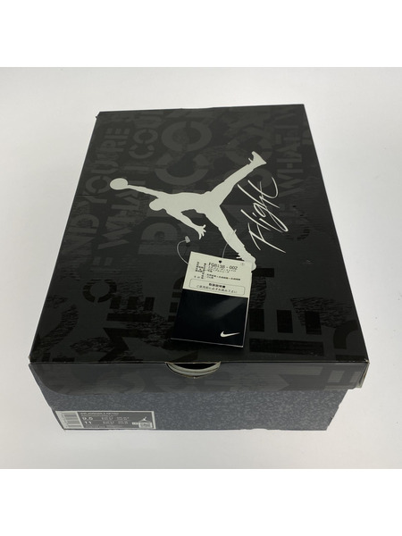NIKE スニーカー AIR JORDAN 4 RETRO Fear  27.5cm