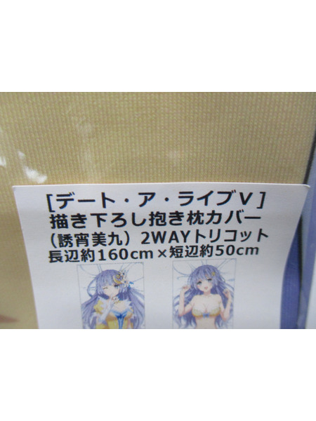 メーカー 美少女その他 デート・ア・ライブV 描き下ろし抱き枕カバー