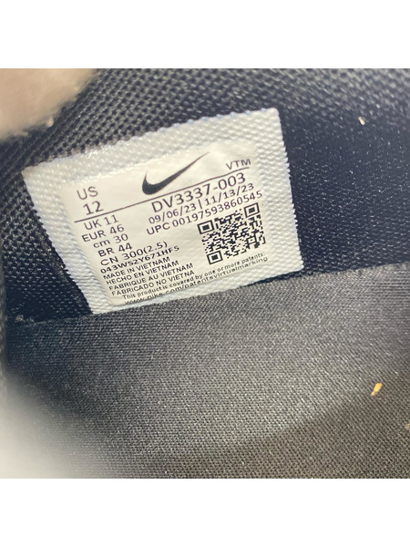 NIKE スニーカー Air Max DN Black/White (30.0) DV3337-003