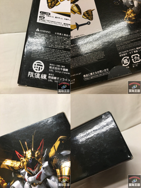 METAMOR-FORCE 魔神英雄伝ワタル 龍王丸専用鋼衣 未開封