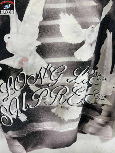 Supreme 22SS Doves Hooded Sweatshirt M