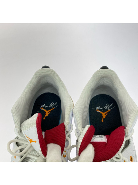 NIKE スニーカー JORDAN MAX AURA 5 白 30cm