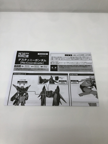 Re:Coordinate　デスティニーガンダム