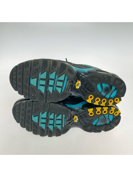 NIKE スニーカー Air Max Plus Black/Aurora Green 29.0cm