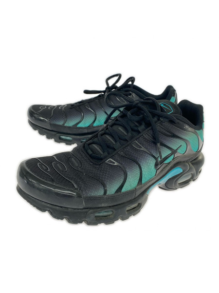NIKE スニーカー Air Max Plus Black/Aurora Green 29.0cm
