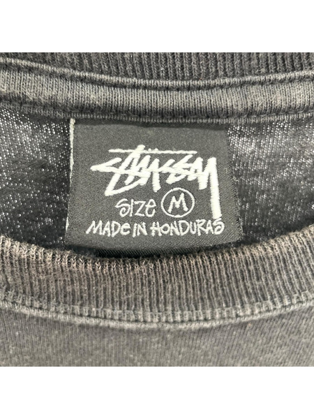 STUSSY 半袖Tシャツ・カットソー 黒 (M)
